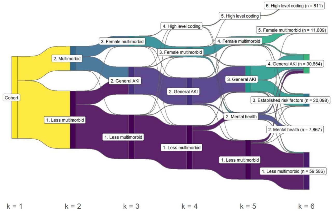 Sankey diagram of clustering assignment by k-means at each step of k for a total of 6 clusters.