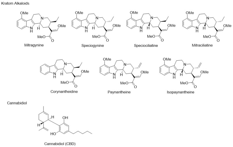 Chemical structures of select kratom alkaloids and cannabidiol.