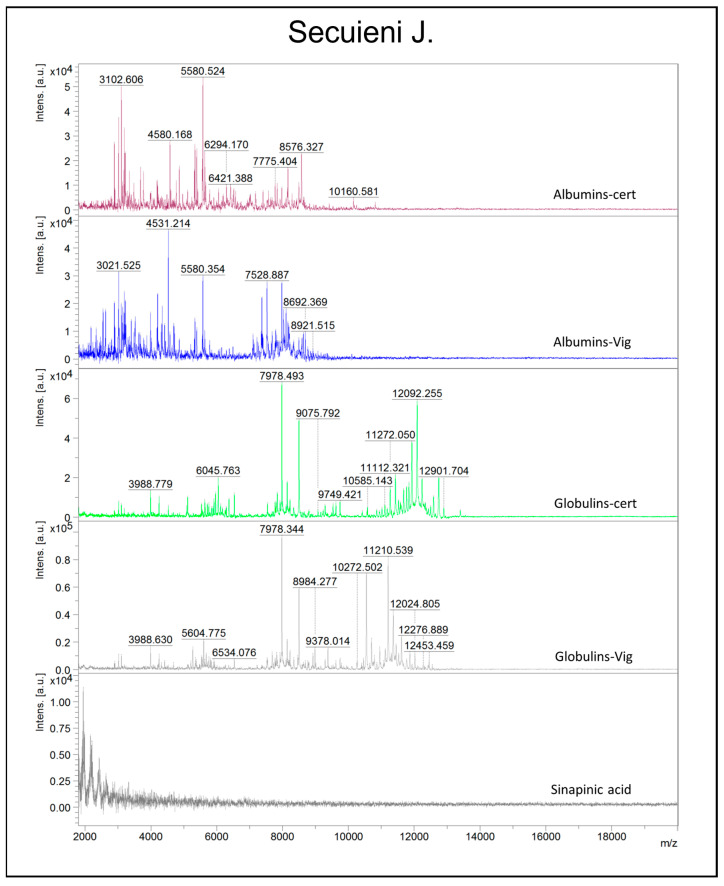 Representative MALDI-TOF MS spectra in the m/z region 2000–20,000 obtained for protein extracts (albumins/globulins) of Secuieni J. seeds from commercial source (cert) or experimental field (Vig). The mass spectrum of the matrix (sinapinic acid) is also presented as reference.