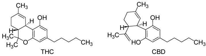 Structures of tetrahydrocannabinol (THC) and cannabidiol (CBD).