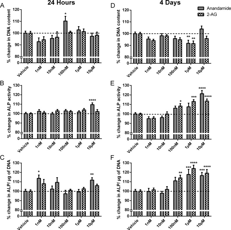 Effect of anandamide and 2-AG treatment on HOB proliferation and markers of early differentiation.DNA content of cells treated with increasing concentrations of anandamide and 2-AG after (A) 24 hours and (D) 4 days. ALP production of treated cells after (B) 24 hours and (E) 4 days, and ALP production normalised to DNA content after (C) 24 hours and (F) 4 days. Values are expressed as a percentage of the vehicle, dotted line at 100%. Data given as mean ± S.E.M., n = 15–16, from 4 experiments. * P<0.05, ** P<0.01, *** P<0.001, **** P<0.0001; one—way ANOVA with Sidak’s multiple comparisons test.
