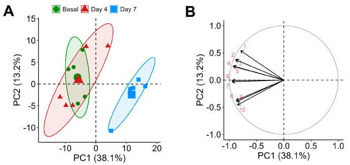 Principal Component Analysis (PCA) of the plasma metabolome with cocoa shell extract (CSE) supplementation, showing a PCA scores plot illustrating the separation of samples by time points: baseline (green circles, ●), day 4 (red triangles, ▲), and day 7 (blue squares, ■) (A), and a loadings plot highlighting the main metabolites contributing to the variance (B). Principal components (PCs): 1: ceramide 8:0;2O/14:0; 2: 12-(3-(Adamantan-1-yl)ureido)dodecanoic acid; 3: 6-Hydroxy-5a-methyl-3,9-dimethylidenedecahydronaphtho[1,2-b]furan-2(3h)-one; 4: L-Leucyl-L-alanine; 5: Octapamine; 6: 1-Myristoyl-sn-glycero-3-phosphocholine; 7: Monoacylglycerophosphocholines 18:3; 8: 1-alkyl,2-acylglycerophosphocholines 20:4; 9: 1-alkyl,2-acylglycerophosphocholines 16:0; 10: Monoacylglycerophosphocholines 22:6.