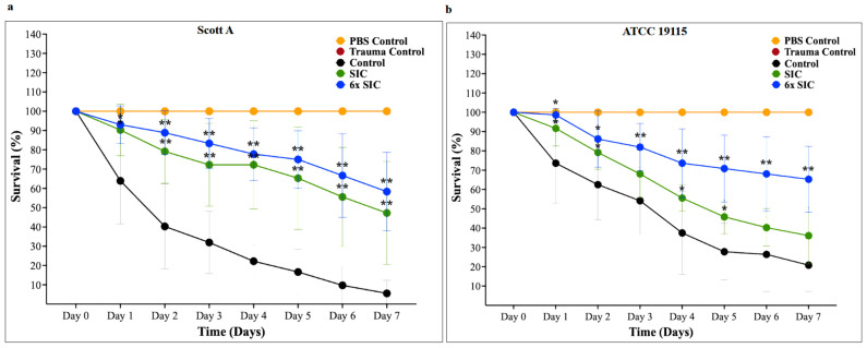 (a) Effect of cannabidiol on the survival of Galleria mellonella larvae infected with Listeria monocytogenes Scott A. Larvae were infected with L. monocytogenes and treated with cannabidiol at the sub-inhibitory concentration (SIC) or six-fold SIC (6× SIC). Survival was monitored daily for seven days. Data points represent mean survival percentage ± SD (n = 6). A significant increase in larval survival was observed at both SIC and 6× SIC from Day 1 through Day 7 compared with the untreated infected control (p < 0.05). (b) Effect of cannabidiol on the survival of G. mellonella larvae infected with L. monocytogenes ATCC 19115. A significant increase in larval survival was observed at SIC on Days 1, 2, 4, and 5, and at 6× SIC from Day 1 through Day 7 compared with the untreated infected control (p < 0.05). Experimental groups included larvae infected with L. monocytogenes without treatment (infected control) and larvae infected with L. monocytogenes treated with cannabidiol at SIC or 6× SIC. Control groups included larvae maintained under normal experimental conditions without phosphate-buffered saline (PBS), L. monocytogenes, cannabidiol, or trauma from needle injury (negative control); larvae administered cannabidiol at 6× SIC in the absence of bacterial infection (CBD control); larvae injected with PBS (PBS control); larvae injected with PBS containing dimethyl sulfoxide (PBS + DMSO control); and larvae subjected to needle puncture only to mimic physical stress (trauma control). These controls were included to distinguish infection-specific mortality from effects related to injection stress, solvent exposure, or cannabidiol toxicity. The trauma control curve overlapped with the PBS control, as both groups exhibited 100% survival throughout the experiment. Other controls, including the CBD control, CBD + DMSO control, and negative control, also showed 100% survival and are not shown in the graph. Statistical analysis was performed using two-way ANOVA followed by Dunnett’s multiple comparisons test, with each treatment group compared to the infected control within the same day (* p < 0.05, ** p < 0.0001). The SIC and 6× SIC concentrations of CBD were chosen to maintain consistency with the concentrations used across other virulence-related assays in this study, thereby enabling direct cross-comparison of antivirulence effects. Cannabidiol-associated cytotoxicity was observed at concentrations above 9× SIC.