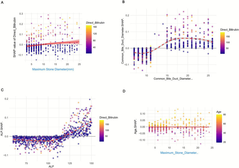 Four scatter plots labeled A, B, C, and D, illustrating SHAP values for health parameters. Plot A shows SHAP values of Direct Bilirubin against Maximum Stone Diameter. Plot B compares SHAP values for the Common Bile Duct Diameter. Plot C depicts SHAP values for ALP, and Plot D shows SHAP values of Age against Maximum Stone Diameter. Color gradients represent Direct Bilirubin and Age levels.