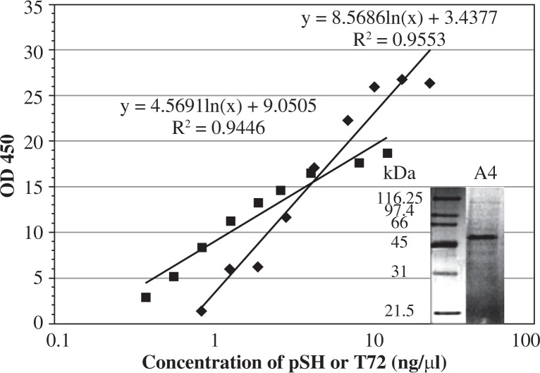 The result of ELISA binding of pSh (rhombus) and T72 (foursquare) to microtitter plates immobilized A4. The electrophoreses was on 12.5% acrylamide gels under reducing conditions and stained with Coomassie R-250. A4 was expressed as CBD-fusion and purified on cellulose. A4 migrated as ~51 kDa protein corresponding to protein ladder