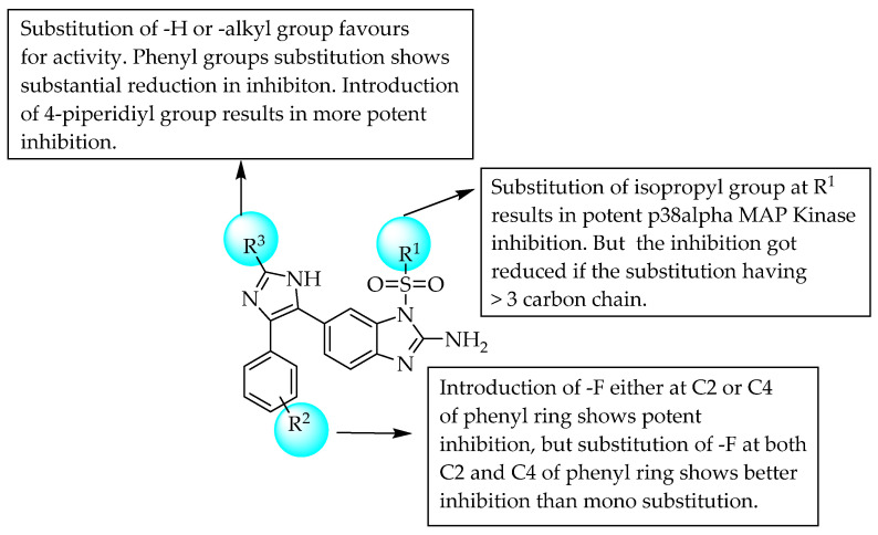 SARs of sulfonyl group incorporated 2-aminobenzimidazoles.