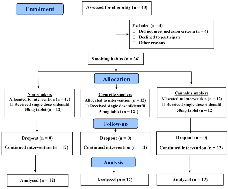 The study flow chart (consort diagram).