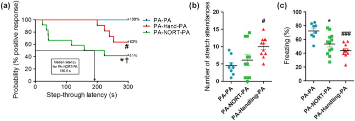 Analysis of the fear response of the rats from PA‐PA (n = 8), PA‐Handling‐PA (n = 11) and PA‐NORT‐PA (n = 12) groups after receiving an aversive stimulus. (a) Step‐through latency times during the retention phase of PA represented as Kaplan–Meier's survival curves. Significant differences were observed between all groups (log‐rank/Mantel–Cox test, *P = 0.011 PA‐PA vs. PA‐NORT‐PA, #P = 0.037 PA‐PA vs. PA‐Handling‐PA, †P = 0.039 PA‐NORT‐PA vs. PA‐Handling‐PA). (b) Number of stretch attendances during the retention phase of PA. Significant differences were observed between the groups PA‐PA and PA‐Handling‐PA (Kruskal–Wallis test, post‐hoc test Dunn's multiple comparison, H(2) = 7.85, #P < 0.05 PA‐PA vs. PA‐Handling‐PA). (c) Percentage of freezing time during the retention phase of PA. Significant differences were observed between the groups PA‐PA and PA‐NORT‐PA and the groups PA‐PA and PA‐Handling‐PA (Kruskal–Wallis test, post‐hoc test Dunn's multiple comparison, H(2) = 13.63, *P < 0.05 PA‐PA vs. PA‐NORT‐PA and ###P < 0.001 PA‐PA vs. PA‐Handling‐PA)