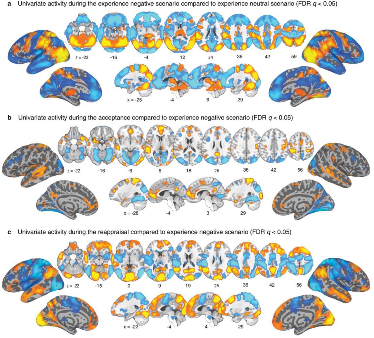 Brain activation from mass-univariate analysis.Contrast images representing the response to naturalistic negative scenario (view negative scenario (NV) vs. view neutral scenario (NeutV) (a), accept negative scenario (NA) vs. NV (b), and reappraisal negative scenario (NR) vs. NV (b) (FDR q<0.05).