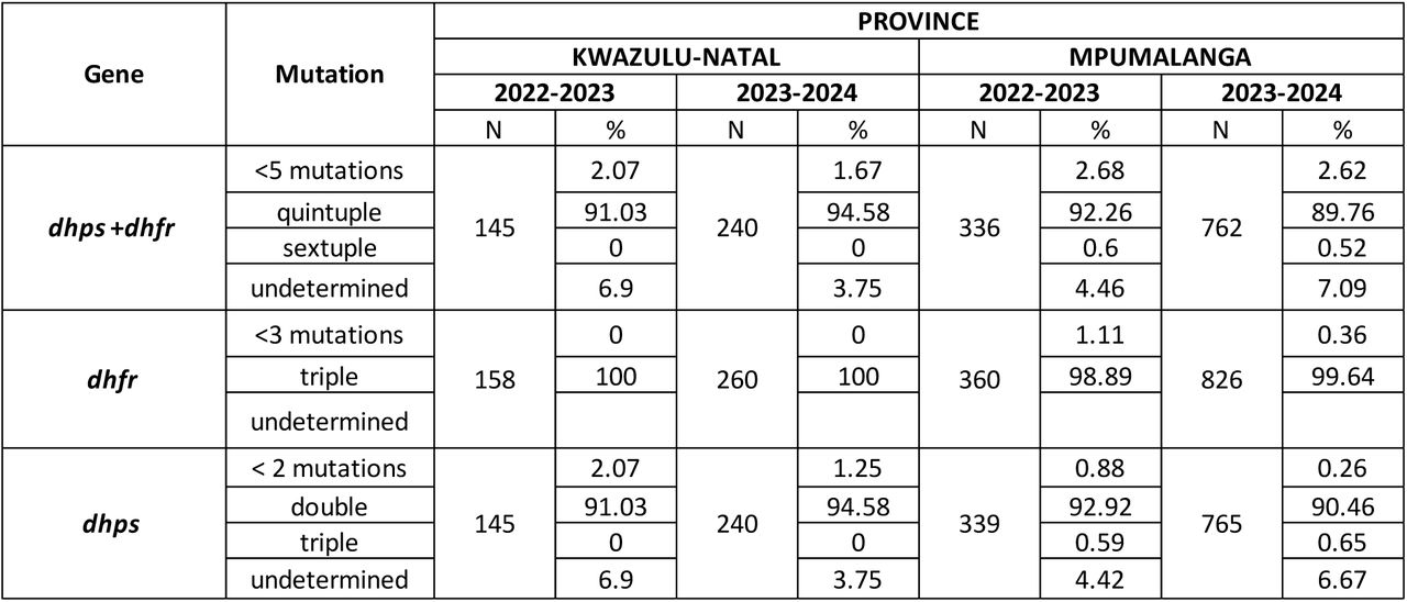 Proportion (%) of dhps and dhfr mutations as haplotypes in KwaZulu-Natal and Mpumalanga provinces, South Africa, during the 2022/2023 and 2023/2024 malaria seasons