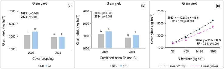 Three-panel graph showing grain yield. Panel (a) shows bar graphs for 2023 and 2024 with cover cropping, highlighting significant results in 2023. Panel (b) displays bar graphs for combined nano zinc and copper in 2023 and 2024 with significance in both years. Panel (c) presents a scatter plot with regression lines for nitrogen fertilizer impact on grain yield in 2023 and 2024, both significant.