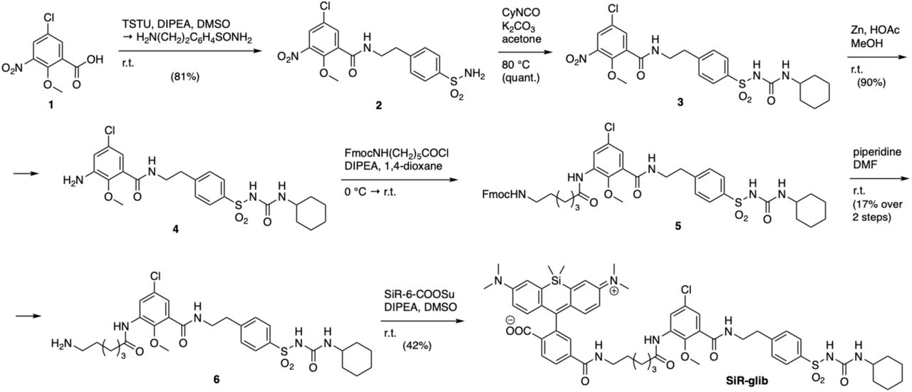 Synthesis of SiR-glib.Commercially available benzoic acid 1 is peptide coupled after TSTU activation to obtain 2, on which the sulfonylurea is installed using cyclohexyl isocyanate. Zn-mediated reduction of the nitro group yields aniline 4, on which an alkyl amine linker is installed using an in situ formed acyl chloride before subsequent Fmoc-deprotection. Silicon rhodamine is finally fused onto 6 by using its NHS-activated ester, yielding SiR-glib.