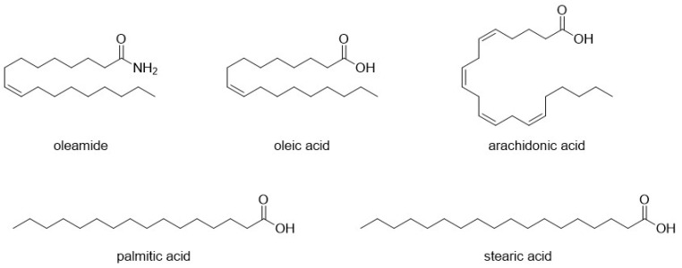 Structural formulas of oleamide and long-chain fatty acids.