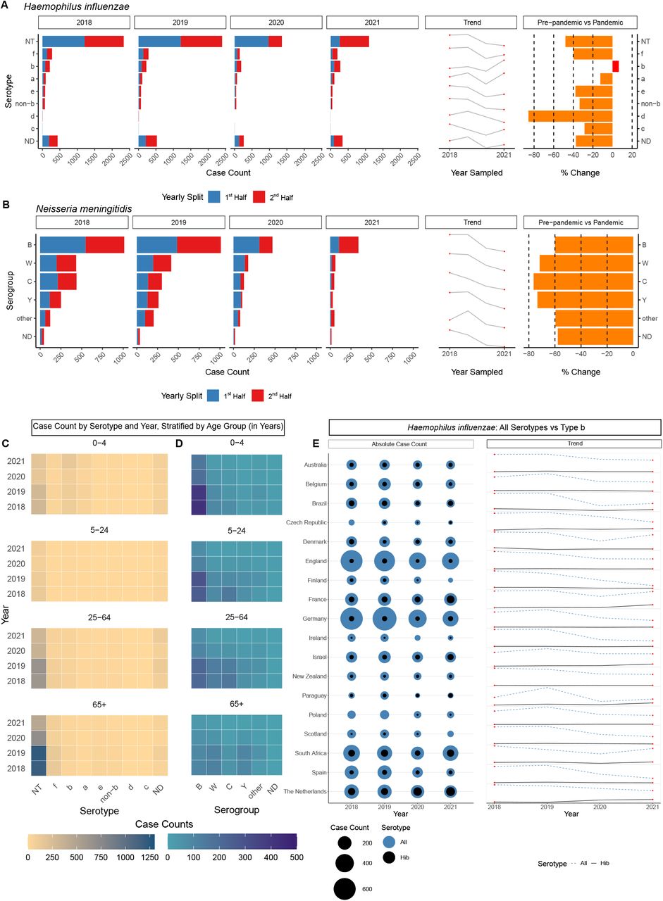 H influenzae and N meningitidis invasive disease cases by serotype, capsule group, country and age. Panels A (H influenzae) and B (N meningitidis): Distribution of serotypes between 2018-2021, listed by case count, increasing or decreasing trend year-by-year, and percentage change of each serotype recovered in 2018-2019 compared to 2020-2021 (average number of cases each year, pre-pandemic vs pandemic). Panels C (H influenzae) and D (N meningitidis): Heat maps depicting the number of cases of each serotype recovered per year and by age group. Panel E: Number of cases of H influenzae by country, displaying only those countries where at least 100 cases in total had been reported across all four study years. Circles represent the total number of cases each year, and lines indicate the increasing or decreasing trend year-by-year, marking ‘All’ serotypes in blue and H influenzae serotype b (Hib) in black. Note: serotype ND = not determined.