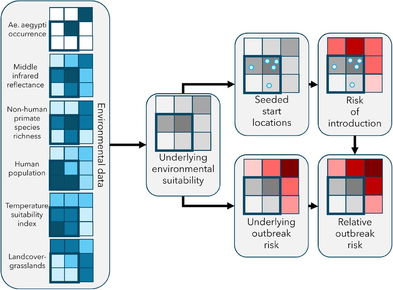 Diagram of methods. Environmental data (left) is used to inform the underlying environmental suitability, defined as transmission intensity (see Fraser et al. for full details [4]). Top: start locations for hypothetical YF outbreaks are seeded proportional to the underlying environmental suitability; the risk of introduction of YFV is estimated for each seeded start location. Bottom: the underlying outbreak risk, defined as the proportion of simulations with a YF outbreak given the underlying environmental suitability; relative outbreak risk, defined as the composition of underlying outbreak risk and risk of introduction. Squares indicate individual districts; darker colour shade implies higher risk (red), higher value of environmental input data (blue), or higher environmental suitability (grey).