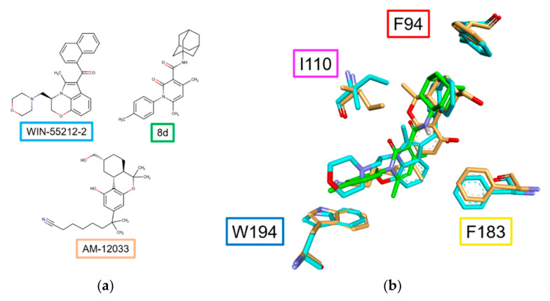 (a) Structurally different CB2R agonists; (b) Superposition of the CryoEM structure of CB2R with bound agonist WIN-55212-2 (PDB:6PT0, both cyan), the crystal structure of CB2R with the selective agonist AM12033 (PDB:6KPC, both orange) and the predicted binding pose of 8d (green). Residues F94 (red, cavity 1) W194 (blue, cavity 2), F183 (yellow, cavity 3) and I110 (magenta, common residue) are shown for spatial references.
