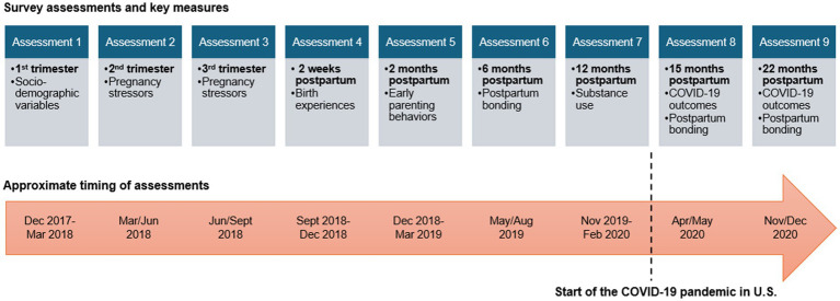 Timing and key measures of survey assessments.