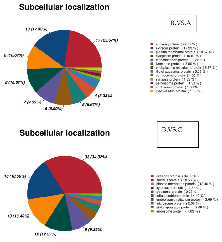 Analysis of subcellular localization of differential proteins.
