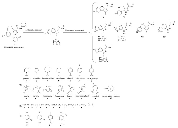 Design of cannabinoid CB1/CB2 receptor ligands.