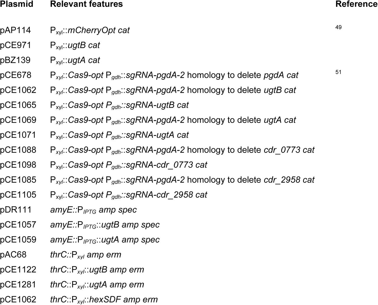 Plasmids