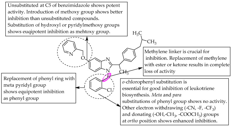 SARs of 2-isobutylphenylethyl benzimidazoles.