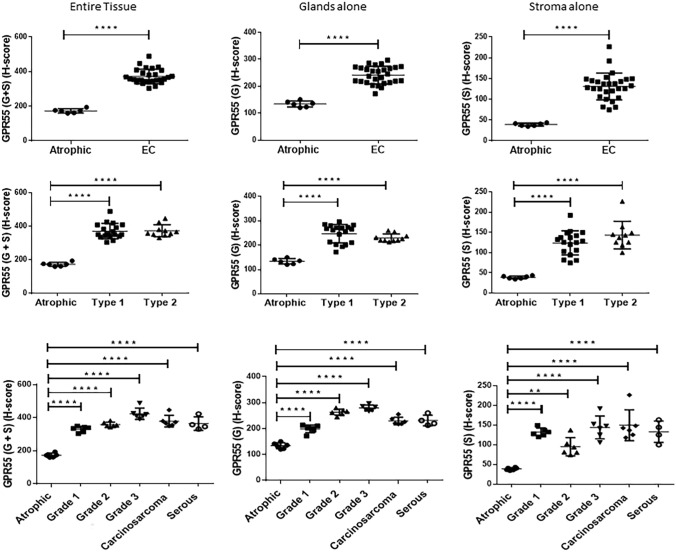 Histomorphometric (H-score) analysis of GPR55 protein immunoreactivity. Immunoreactive GPR55 protein staining (shown in Fig. 2) was subjected to histomorphometric analysis of the entire tissue (left column), the glandular epithelial tissue alone (middle column) and the stromal tissue alone (right column). Data are presented as the mean ± SEM of 6 control (atrophic) and 28 endometrial cancer (EC) tissues. Sub-analyses of endometrial cancer type (Type 1, n = 18 and Type 2, n = 10) and grade (grade 1, n = 6; grade 2, n = 6; grade 3, n = 6; serous, n = 4; carcinosarcoma, n = 6) showed that GPR55 immunoreactive protein levels increased both in the stroma and the glandular epithelium in all types and grades of endometrial cancer when compared to that observed in the atrophic control) endometrium. p values were obtained using Student’s t tests and one-way ANOVA with Dunnett’s ad hoc post-test; **p = 0.0024; ****p < 0.0001