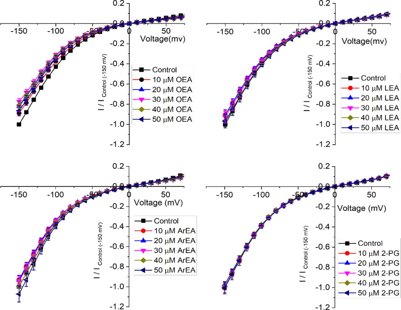 Endocannabinoids do not affect Kir7.1 currents.(A-D) Current-voltage (I-V) relationship of Kir7.1 channels following the incremental addition of the listed endocannabinoids. For each cell, currents were normalized to the current elicited at -150 mV for control conditions (0 µM endocannabinoid). This enabled the averaging of pair-wise data from different cells. Endocannabinoids that had a large effect on Kir2.1 currents did not alter Kir7.1 currents over the same time-course of application.