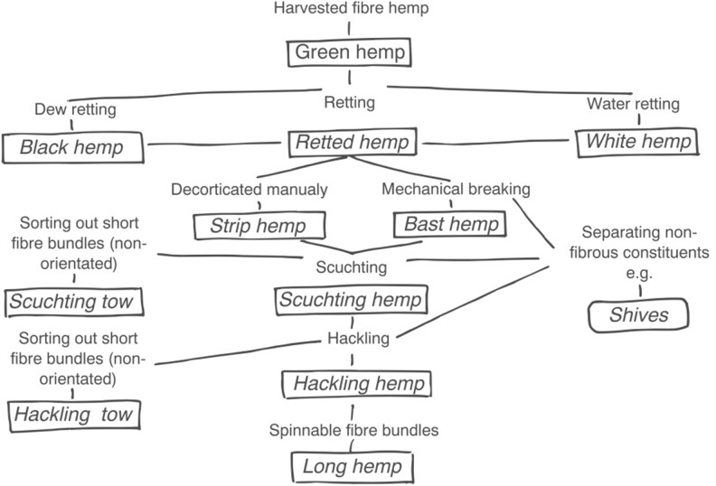 A schematic overview of the systematic nomenclature used in traditional hemp processing (adapted from Schnegelsberg, 1999).