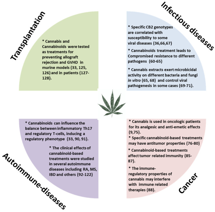 The effects of cannabinoid-based treatments in immune related diseases. GVHD: Graft versus host disease; RA: Rheumatoid arthritis; MS: Multiple sclerosis; IBD: Inflammatory bowel disease; CB2: Cannabinoid receptor 2.
