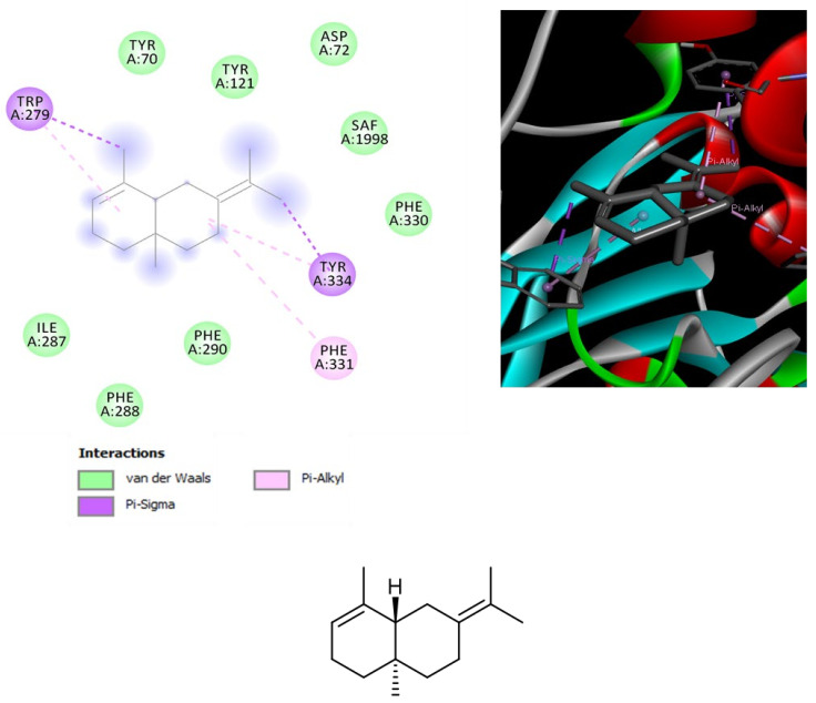 Structure and in silico interactions between selina-3,7(11)-diene and acetylcholinesterase (AChE; PDB: 1GQR). Free energy of binding (ΔG) and affinity (Ki) are −7.2 kcal/mol and 5.4 µM, respectively.