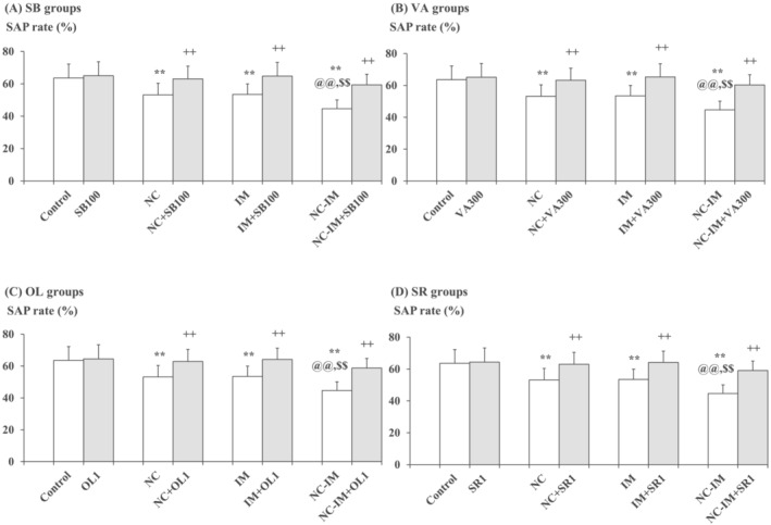 Mitigating effects of the HDAC inhibitors, TRPV1 agonist, or CB1 antagonist against working memory impairment‐like behaviours. The parameter values of the Y‐maze test (SAP rates) at the 2‐h time point after the last NC (0.8 mg/kg, sc) and/or IM (10 min) treatment are shown as means with SD bars (n = 10) for each HDAC inhibitor (SB or VA), TRPV1 agonist (OL), or CB1 antagonist (SR) cotreatment group (with each ip dose [mg/kg]), and statistical significance in post hoc tests is denoted using the symbols as defined below. The detailed data and statistical results have been included in Table S2. (A) SB (100 mg/kg, ip) cotreatment groups (SB groups); (B) VA (300 mg/kg, ip) cotreatment groups (VA groups); (C) OL (1 mg/kg, ip) cotreatment groups (OL groups); (D) SR (1 mg/kg, ip) cotreatment groups (SR groups). **P < 0.01: significant attenuation as compared with the control group; ++P < 0.01: significant increase as compared with the NC, IM, or NC‐IM group without any cotreatments; @@P < 0.01: significant attenuation as compared with the NC group without any cotreatments; $$P < 0.01: significant attenuation as compared with the IM group without any cotreatments.