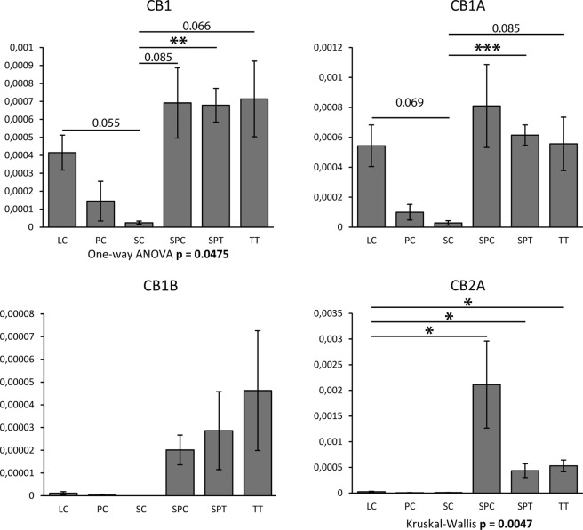Expression profiles of transcript isoforms coding for CB1, CB1A, CB1B and CB2A. Quantitative PCR (qPCR) experiments were performed on cDNA from isolated human Leydig cells (n = 4; LC), peritubular cells (n = 2; PC), Sertoli cells (n = 2; SC), pachytene spermatocytes (n = 4; SPC), round spermatids (n = 4; SPT) and total testis tissue (n = 4; TT). Histograms represent mean expression (relative to RPLP0) ± SEM. Following evaluation of normality (Shapiro–Wilk test and D’Agostino’s K-squared test) and of homogeneity of variances (Brown-Forsythe test), global analysis of variances was achieved with One-way ANOVA (CB1 and CB1A) or with Kruskal–Wallis one-way analysis of variance (CB1B and CB2A). Pairwise comparisons were also performed using unpaired Student’s t-test (CB1 and CB1A) or with Mann–Whitney U test (CB1B and CB2A). One, two or three stars denote statistical significance with p < 0.05, p < 0,01 or p < 0.005, respectively. p-values close to significance are also indicated.