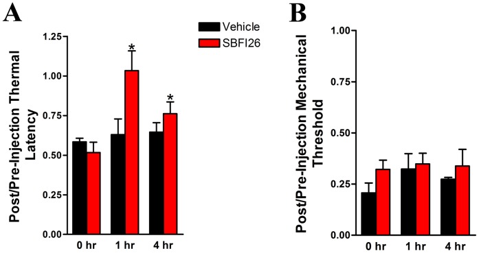 SBFI26 blocks thermal hyperalgesia in a rat model of neuropathic pain.(A) Thermal latencies and (B) mechanical thresholds in rats subjected to CCI were measured following injection of 20 mg/kg SBFI26. SBFI26 was injected at the 0 hr time point and evoked behaviors were measured at 1 and 4 hrs post-administration. The results are expressed as fraction of the pre-injury baseline measurement per animal (mean +/− SEM). Pre-injury thermal latency was 23.5 +/− 0.7 s and mechanical threshold was 29.9 +/− 0.6 g (mean +/− SEM). Results were analyzed by repeated measures ANOVA followed by Tukey's post-hoc analysis. *, p<0.05 versus 0 hr time point (n = 6).