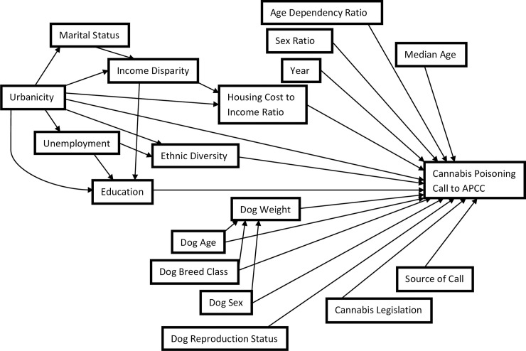 Causal diagram representing the relationship between dog-level and community-level factors and the odds of a call being related to a dog poisoning event from a cannabis product.