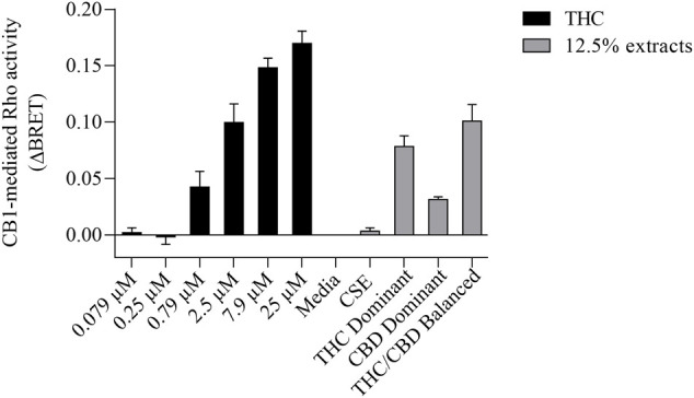 CaSE promotes Rho activation in CB1 expressing cells in comparison to Δ9-THC. HEK293 cells expressing CB1 along with Rho sensor were stimulated with indicated concentrations of Δ9-THC in buffer or 8-fold diluted indicated extracts prepared in media with 30% MeOH: Media with only 30% MeOH, CaSE and CSE. There was an increase in CB1 activation in cells exposed to CaSE from THC dominant, THC/CBD balanced and CBD-dominant cannabis, but not Media with MeOH or CSE. Buffer was 8-fold dilution of 30% MeOH/DMEM with Tyrode’s buffer. Data were expressed as a ligand-promoted BRET (ΔBRET) by subtracting BRET ratio in control media. Data represent mean ± SEM of three to five independent experiments.