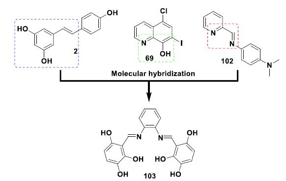 Structural design of the multifunctional ligand 103 by MH of resveratrol (2), clioquinol (69) and stilbene-like imine 102 with remarkable metal chelating ability, antioxidant activity and neuroprotective effects.