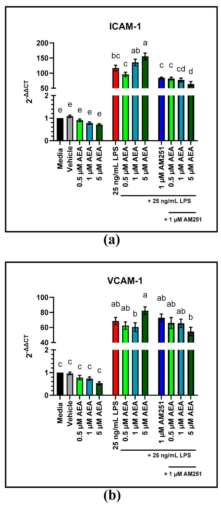 RT-qPCR analysis of gene expression of intracellular adhesion molecule-1 (ICAM-1) and vascular cell adhesion molecule-1 (VCAM-1) in response to 0.5, 1, and 5 µM arachidonoylethanolamide (AEA) and 1 µM AM251 treatment in bovine aortic endothelial cells (BAEC) (N = 6), with and without 25 ng/mL lipopolysaccharide (LPS) challenge: (a) expression of ICAM-1 following AEA and 1 µM AM251 treatment; (b) expression of VCAM-1 following AEA and 1 µM AM251 treatment. Statistical analysis: one-way ANOVA, Tukey’s adjustment. a–e: Means with different superscripts are different (p < 0.05).