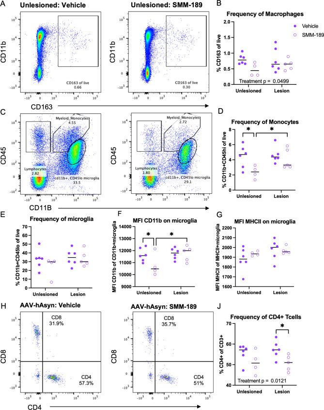 Modulation of CB2 with SMM-189 globally reduces macrophages and infiltrating monocytes and CD4 T lymphocytes at 4 weeks. Brain immune cells from high cohort rats were isolated from lesioned (+ AAV-human Asyn) and unlesioned (-AAV-human Asyn) rat hemispheres at 4 weeks and flow cytometry analysis conducted to identify monocyte, lymphocyte and microglia populations from CD45 and CD11b expression and further gated into more distinct populations. Macrophage populations (CD163 + CD11b+) were identified from live cells (see Figure S1). A) Representative dot blots of CD163 + macrophages in the unlesioned hemisphere of a vehicle and SMM-189-treated rat at 4 weeks. B) Quantification of CD163 + reveals a global reduction of macrophages from SMM-189 treatment. C) Representative dot blots of CD45 and CD11b in the unlesioned hemisphere of a vehicle and SMM-189-treated rat. D) Quantification of the monocyte population as a frequency of all live cells (CD45hiCD11b+). E) Quantification of microglia (CD45loCD11b+), and microglia MFI of F) CD11b and G) MHCII. H) Representative dot blots of CD3 + lymphocytes stratified by CD4 and CD8 populations in the lesion hemisphere of a vehicle and SMM-189-treated rat. I) Quantification of CD4-expressing T lymphocytes. *p < 0.05