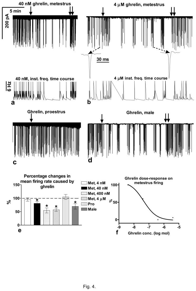 Effect of ghrelin on the firing of the GnRH neurons from the brain slice of the female (metestrus and proestrus) and male mice. a and b) Ghrelin (40 nM N=4 and 4 µM N=14) decreased the firing rate in the metestrus with no change in the shape of the individual spikes (insets). Time course of the instantaneous frequency is figured under the firing recordings. c) In proestrus, firing rate showed no change (N=11). d) Ghrelin administration in the male mouse resulted in a decrease in the firing rate (N=15). e) Bar graph shows the significant changes in the firing rate in the metestrous female (40nM-4 µM but not at 4 nM) and male, whereas ghrelin exerted no effect in the proestrous female mice. f) Dose-response curve of effect of ghrelin on the firing in metestrous mice (0%=full effect, 100%=no effect). Met=metestrus; Pro=proestrus. Arrow shows onset of ghrelin administration whereas double arrow marks wash-out. *=p<0.05.