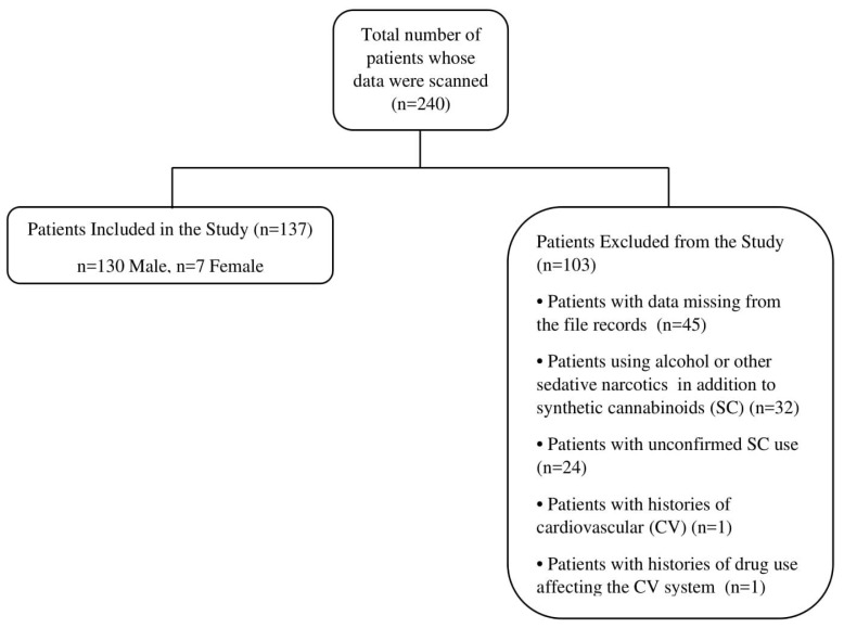 Patient flow chart.