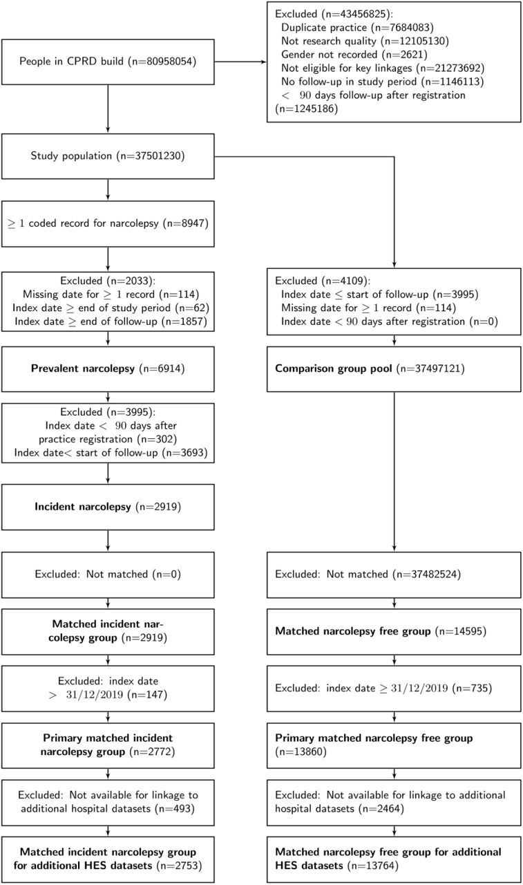Participant Flow Chart
