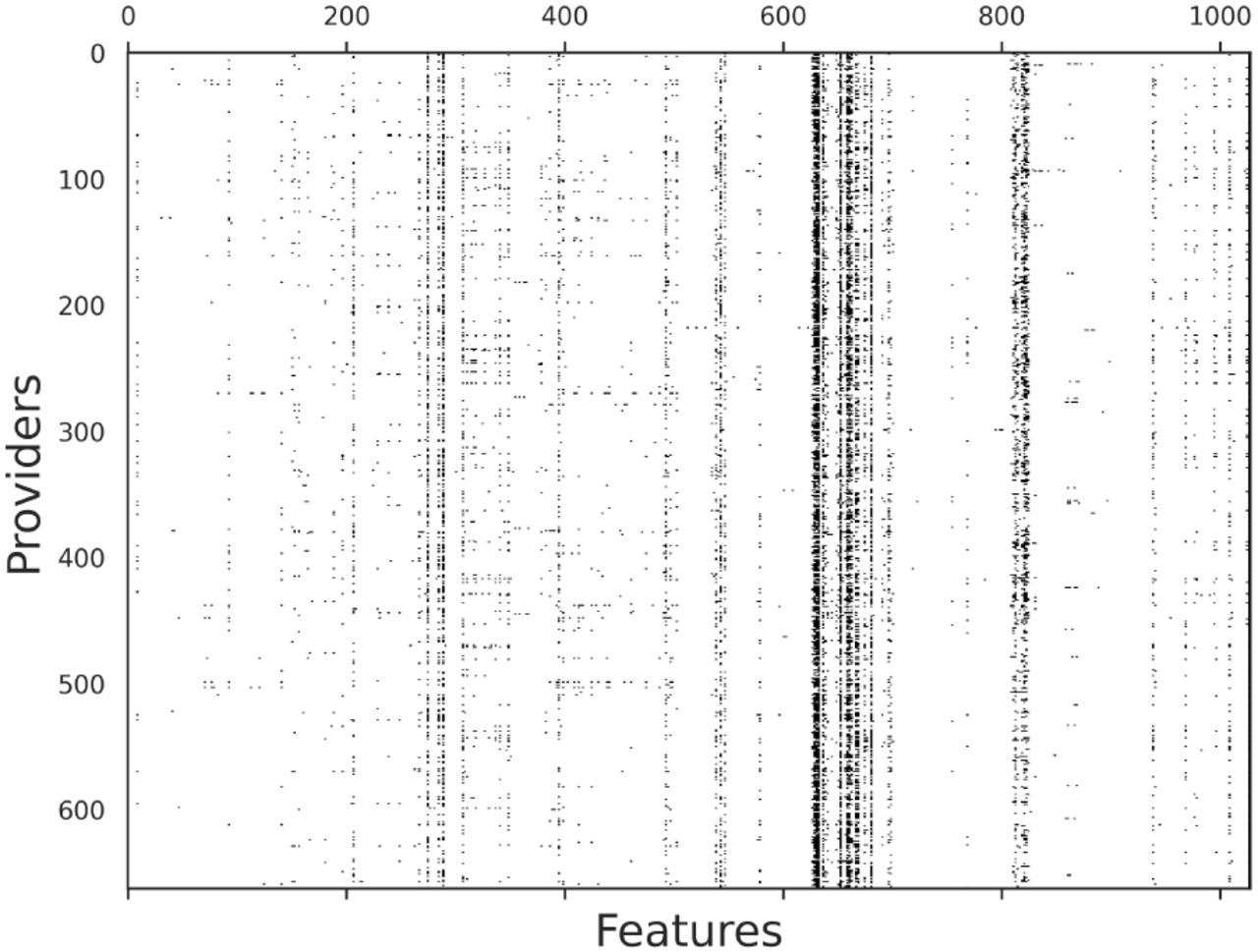 Sparsity map of the features associated with the providers in the labeled dataset. The plot shows the sparsity pattern of the feature space, indicating the utilization of HCPCS codes by labeled providers. Each cell represents the presence (non-zero value) or absence (zero value) of a specific HCPCS code for a provider.
