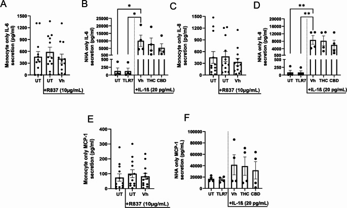 Astrocytes are the major contributors of inflammatory factors in TLR7-activated cocultures. (A,C, E) Primary human CD16+ monocultures and (B, D, F) primary human astrocyte monocultures were cultured in parallel at the same density as conducted in coculture conditions. (A, C, E) Monocytes were either untreated, activated with R837 (10 µg/mL), or activated with R837 in combination with vehicle (0.03% ethanol; Vh). (B, D, F) Astrocytes were either untreated, treated with R837 (10 µg/mL), or activated with recombinant IL-1ß in combination with Vh, THC or CBD (10 µM). (A-F) After a 22 hr incubation, supernatant IL-6, IL-8, and MCP-1 were quantified by ELISAmax™. These graphs represent the unnormalized concentrations of each mediator. Asterisks denote statistically significant differences from the unstimulated control (*p < 0.05, **p < 0.01) as determined by repeated measures one-way ANOVA with Tukey's post hoc test. All graphs show the mean ± S.E.M. (A-F). (n = 12 monocyte donors, n = 2 astrocyte donors with 2 experimental replicates each)