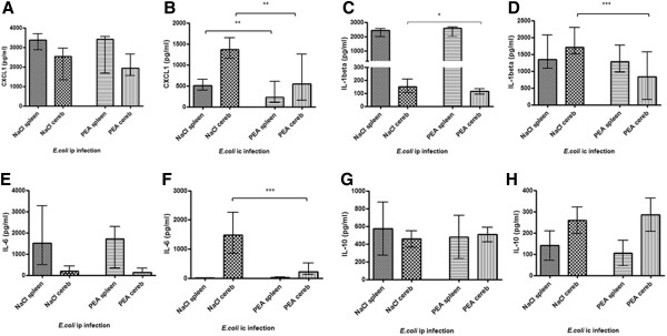 Cytokine and chemokine concentrations in homogenates of spleen and cerebellum. CXCL1 (a/b), IL-1β (c/d), IL-6 (e/f), and IL-10 (g/h) concentrations (in pg/ml) in the homogenates of spleen and cerebellum (cereb) 24 hours after intraperitoneal or intracerebral infection with E. coli K1. Data are given as medians with interquartile ranges. Data were analyzed by Mann–Whitney U-test (*P < 0.05, **P < 0.01, ***P < 0.001).