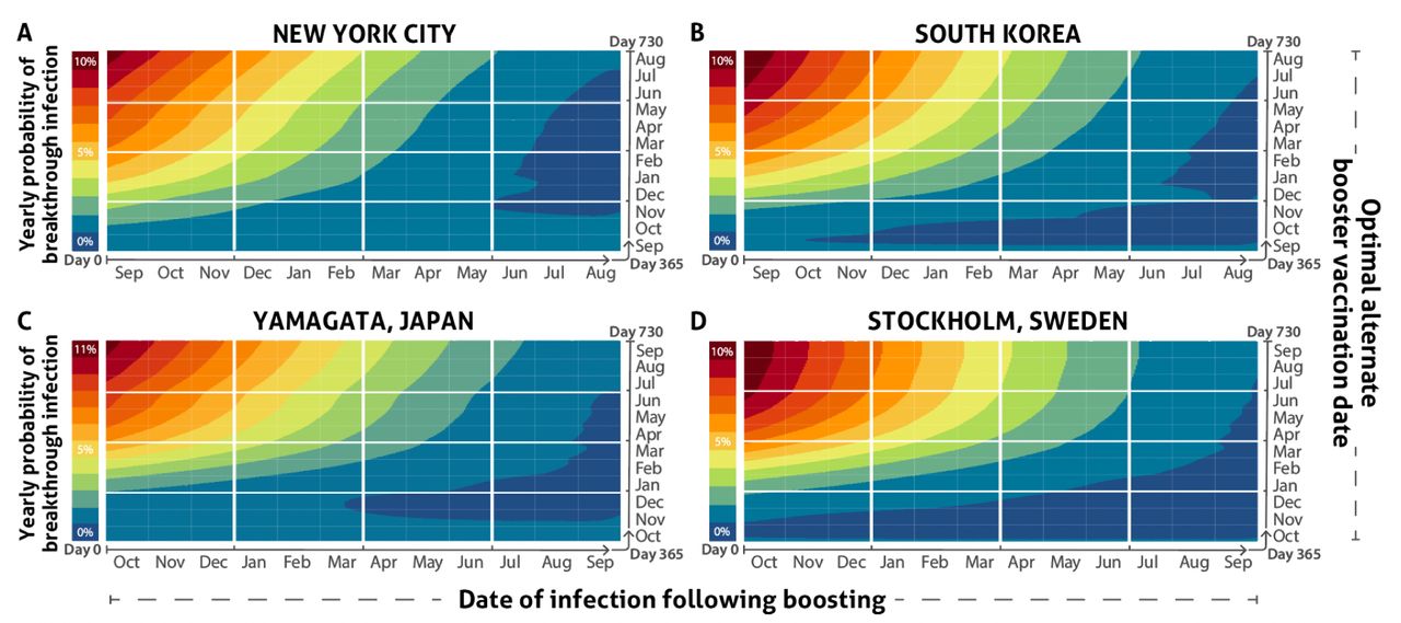 Probability of infection upon delaying booster vaccination to each date of the year, in response to a breakthrough infection occurring in the interval between optimal booster vaccination dates in (A) New York, (B) Stockholm (C) Yamagata, and (D) South Korea. Day 365 is the estimated optimal yearly booster vaccination date. Infection will delay the optimal booster vaccination date beyond day 365 to a greater and greater degree as the interval between the yearly optimal booster date and the date of infection increases.