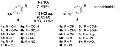 molecules-31-00796-i001.jpg