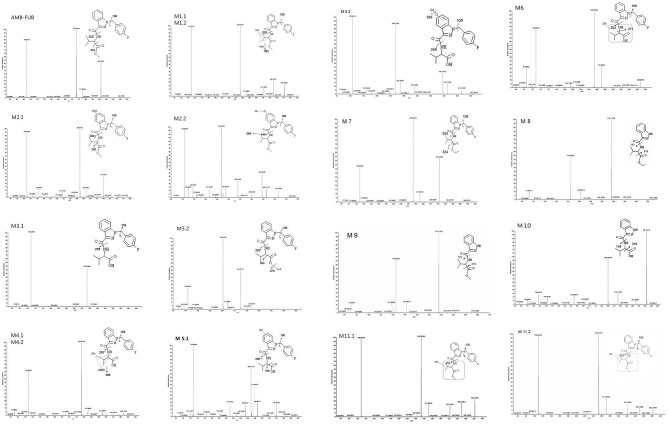 Product ion mass spectra and assigned fragmentation patterns for AMB-FUBINACA and all metabolites that were identified after human liver microsomes incubation.