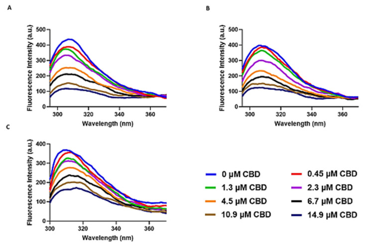 Intrinsic fluorescence quenching of tau protein by different concentrations of CBD ranging from 0–14.9 µM (0 µM, 0.45 µM, 1.3 µM, 2.3 µM, 4.5 µM, 6.7 µM, 10.9 µM, and 14.9 µM) in the Tris-HCl buffer and PH = 7.5. (A) at 7 °C (B) at 22 °C (C) at 37 °C.