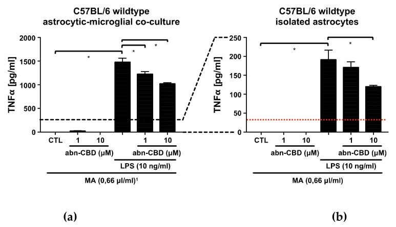 TNFα measurement in supernatants from astrocytic-microglial cocultures (a,c) and isolated astrocytes (b,d) from C57BL/6 wildtype (a,b) and CB2 knockout mice (c,d). Data is expressed as mean ± SEM, n = 8 in each group. Statistical analysis was done using one-way ANOVA followed by Bonferroni’s post-test. * p < 0.05. Note the differing scaling of the y-axis between cocultures (a,c) and isolated astrocytes (b,d). The lower detection limit of the assay as given by the manufacturer and estimated on basis of the standard curve is shown by the red dotted line. 1 All groups received the same concentration (0.66 µL/mL) of the solvent methylacetate (MA) as contained in 10 µM abn-CBD groups.