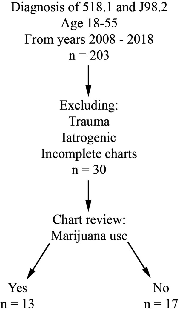 Case selection flowchart.